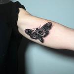 Tattoos - Realistic Death Moth Skull Tattoo - 146611